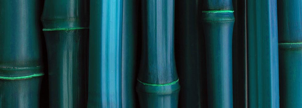 Apeiron immagine di copertina sezione "ricerca e progetti" Apeiron immagine di copertina sezione "ricerca e progetti"